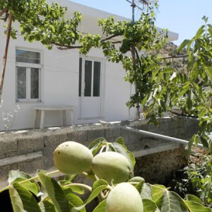 בית מסורתי 40 כרתים - סאקטוריה