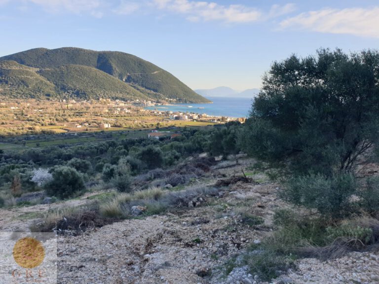 119b6d9a-1f51-4cff-b9f0-7855be69dd54