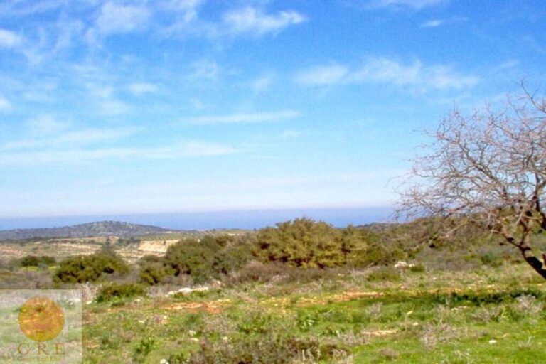 13-282_ktimatoemporiki_rethymno_arkadi-4