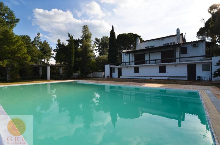 176231_1623_IMG_00_0000