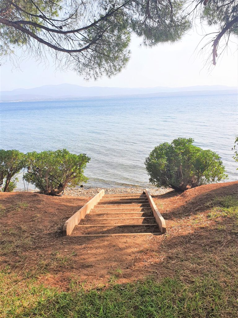 20210918_164348-scaled