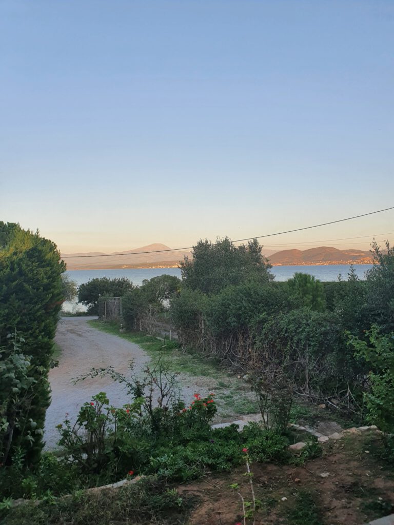 20211103_165722-scaled