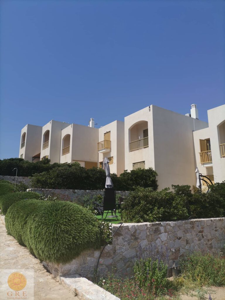 209732104_919867625266159_8956694241887383086_n-1