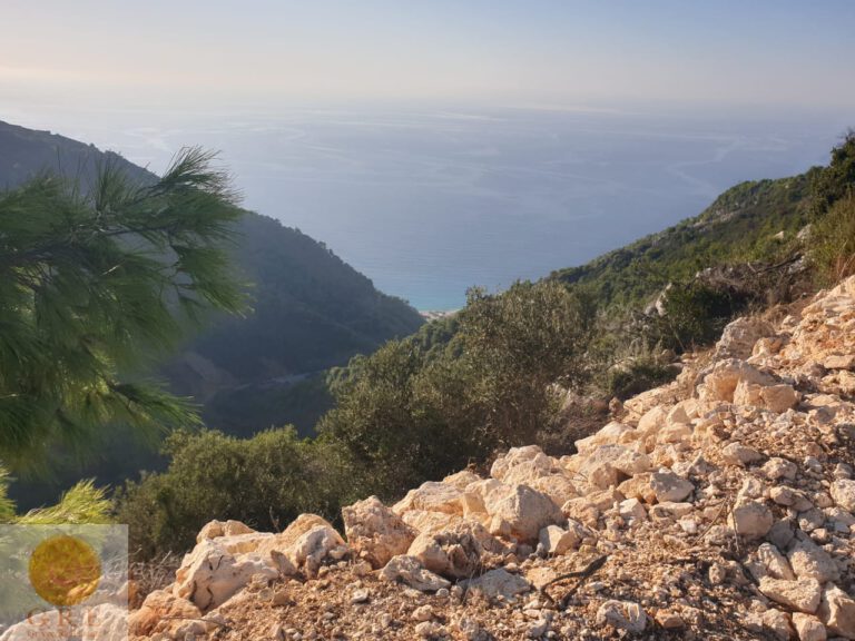 442f02aa-2177-40a4-8f2b-9d0f3be6e924