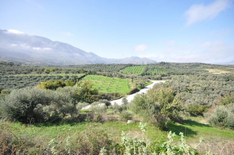 DSC_0223_1920x1275-1