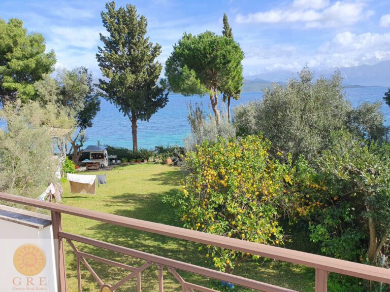 WhatsApp-Image-2021-02-11-at-18.01