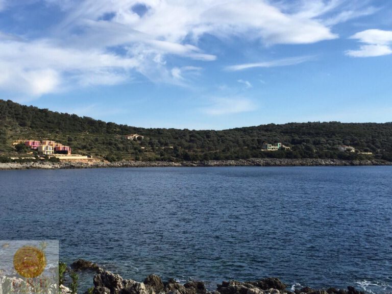 WhatsApp-Image-2021-08-15-at-13.37