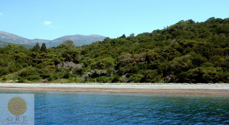 WhatsApp-Image-2021-10-10-at-10.18