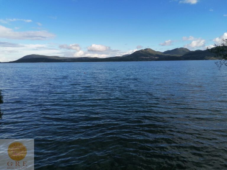 WhatsApp-Image-2021-12-12-at-11.36