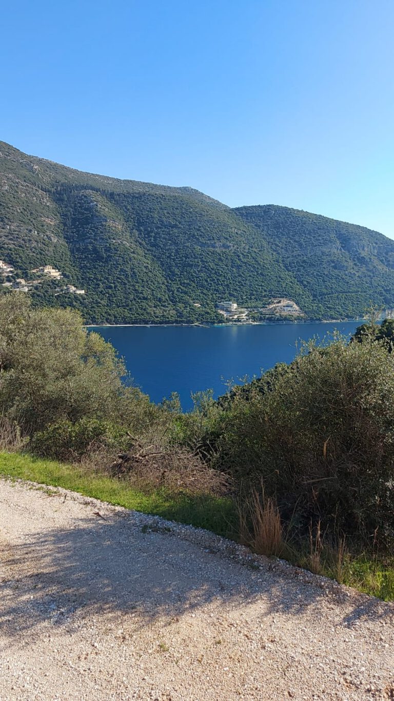 WhatsApp-Image-2022-02-17-at-13.31