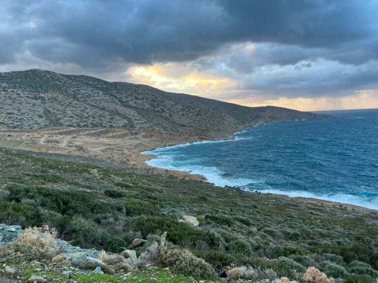 WhatsApp-Image-2022-02-17-at-13.47