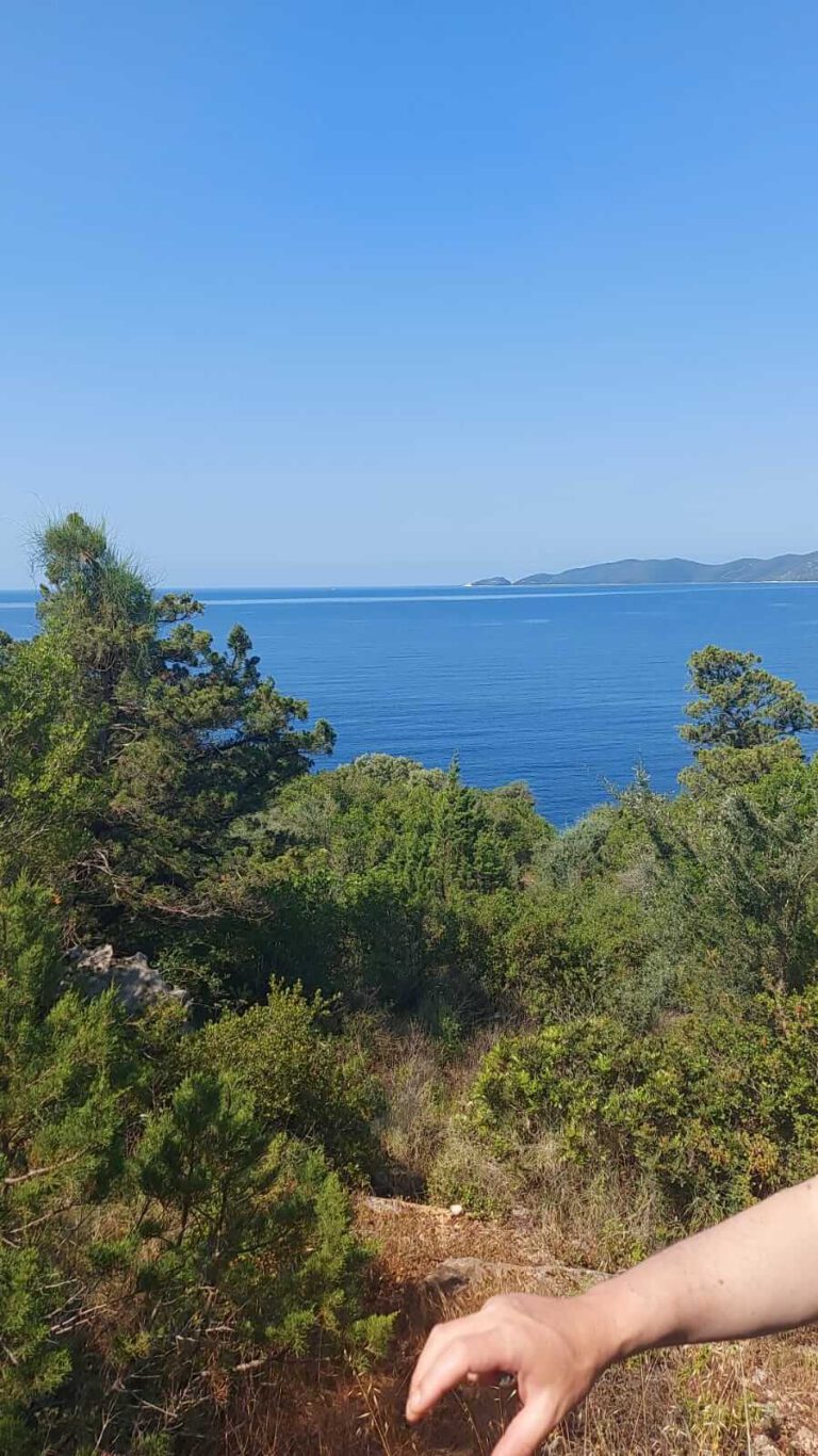 WhatsApp-Image-2022-05-15-at-09.36