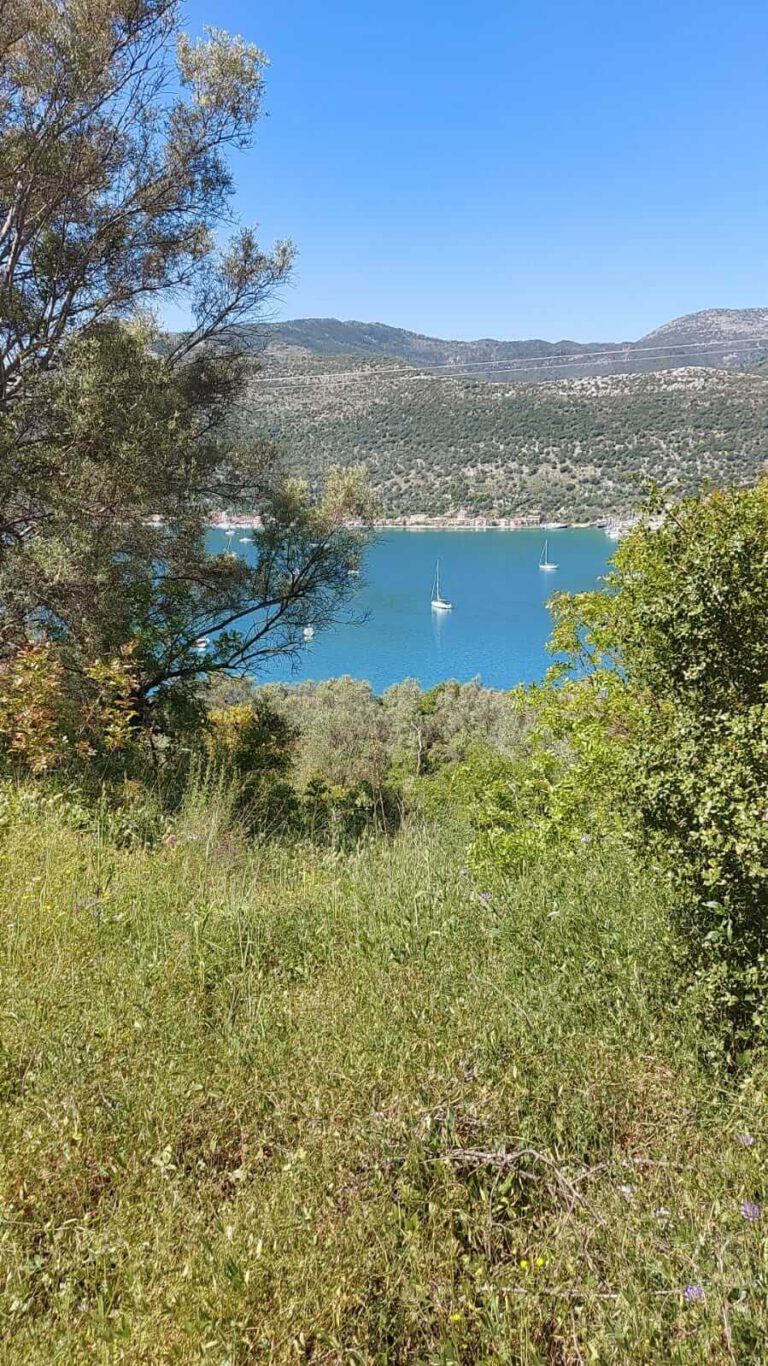 WhatsApp-Image-2022-05-15-at-13.01