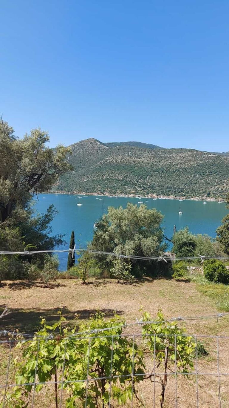 WhatsApp-Image-2022-05-15-at-13.01