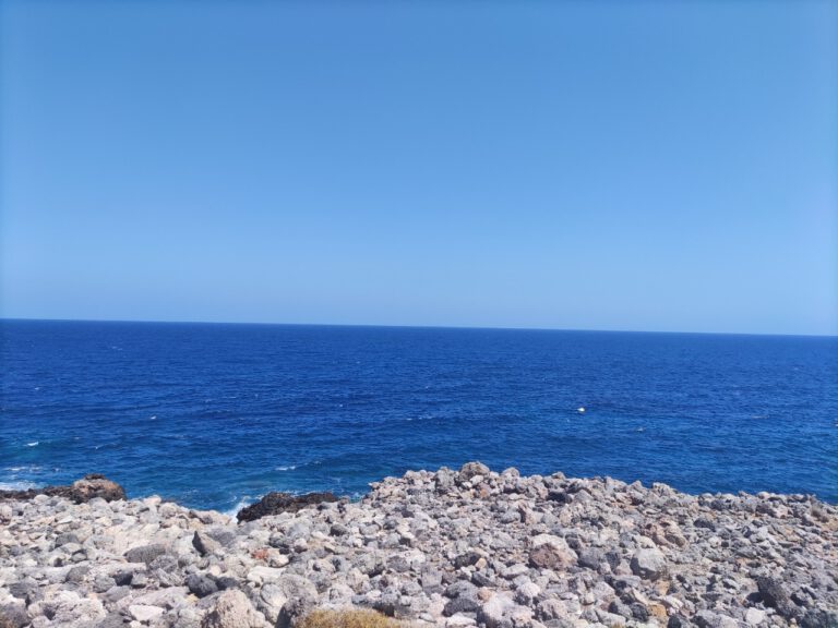 WhatsApp-Image-2022-08-05-at-10.46