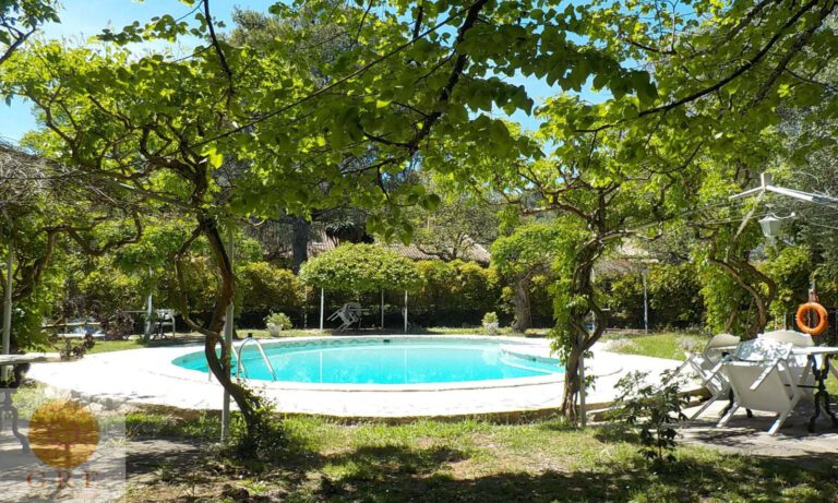 cebb964a-7186-411a-aa34-c2847de040a7