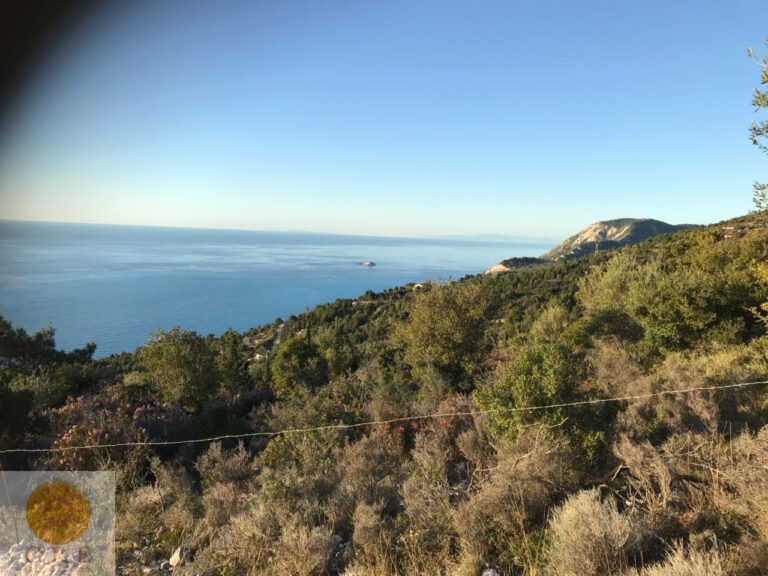 d59e6801-542c-460a-b89b-3efb754b7e83-1