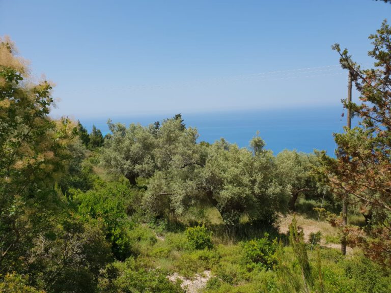 e1e960b7-f998-4978-aba5-bfd05fde7350