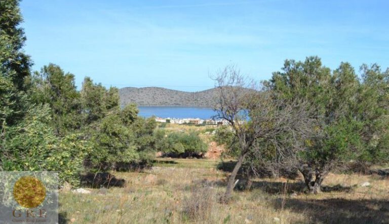 ea1416327960-800x460