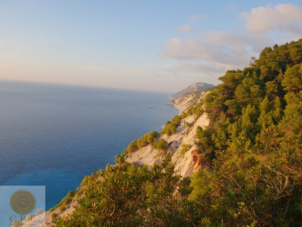 אדמה-למכירה-בלפקדה-213-4