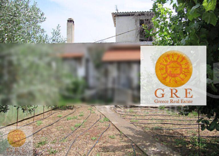 וילה-21-חלקדיקי-11