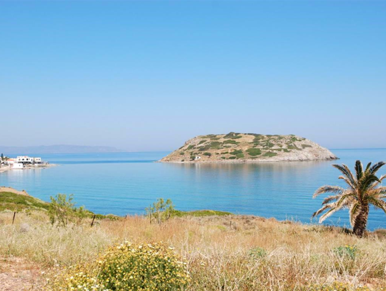 צילום-מסך-2022-04-19-145706