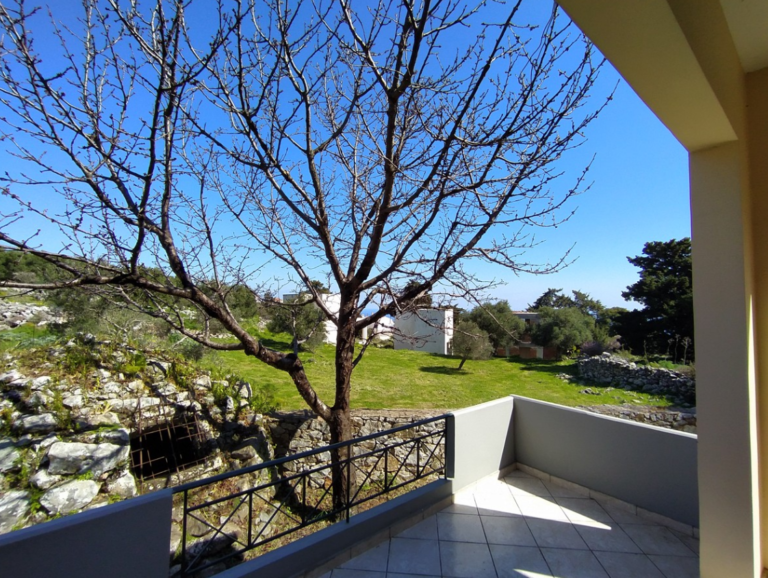 צילום-מסך-2022-05-10-112449