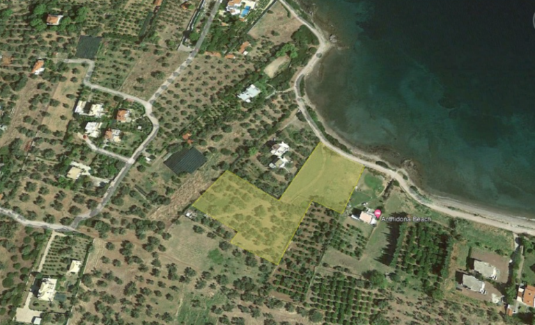 צילום-מסך-2022-05-17-093327