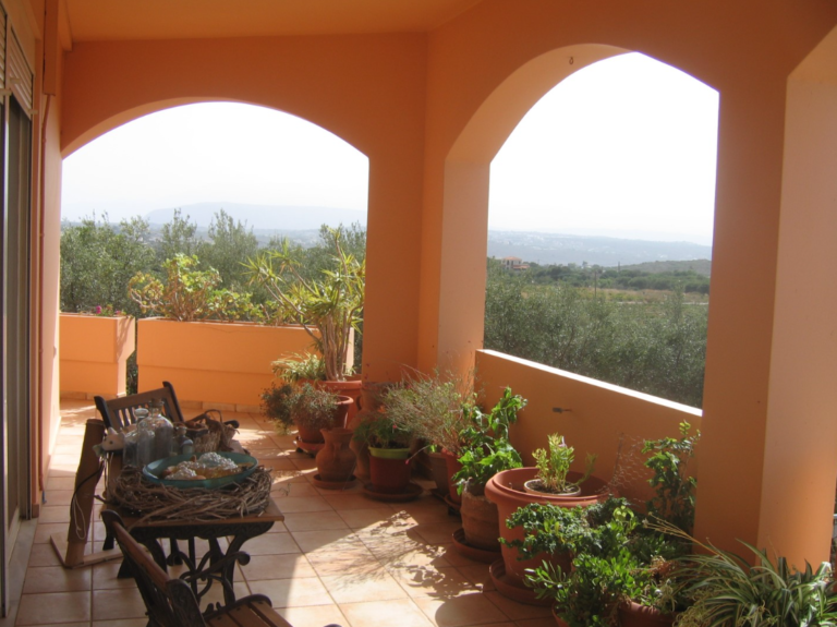 צילום-מסך-2022-06-01-144436-1