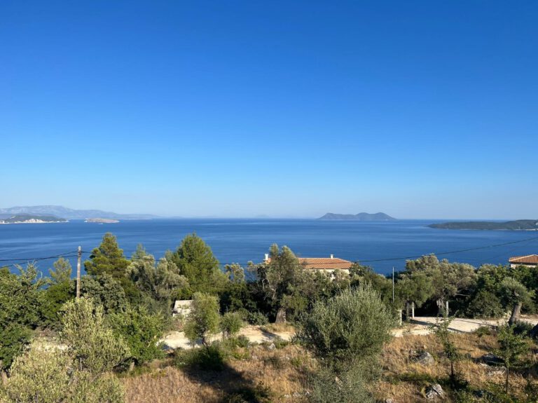 צילום-מסך-2022-07-22-103243