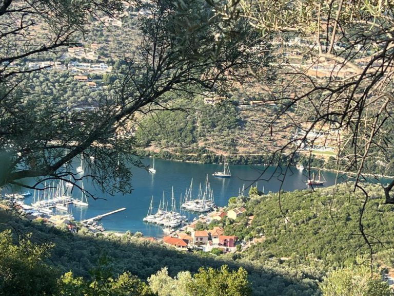 צילום-מסך-2022-07-22-103934