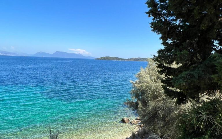 צילום-מסך-2022-08-02-135902