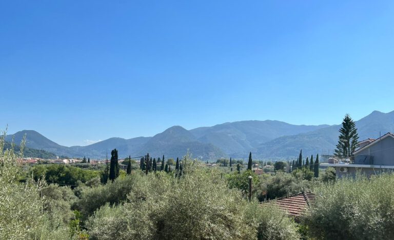 צילום-מסך-2022-08-02-161154