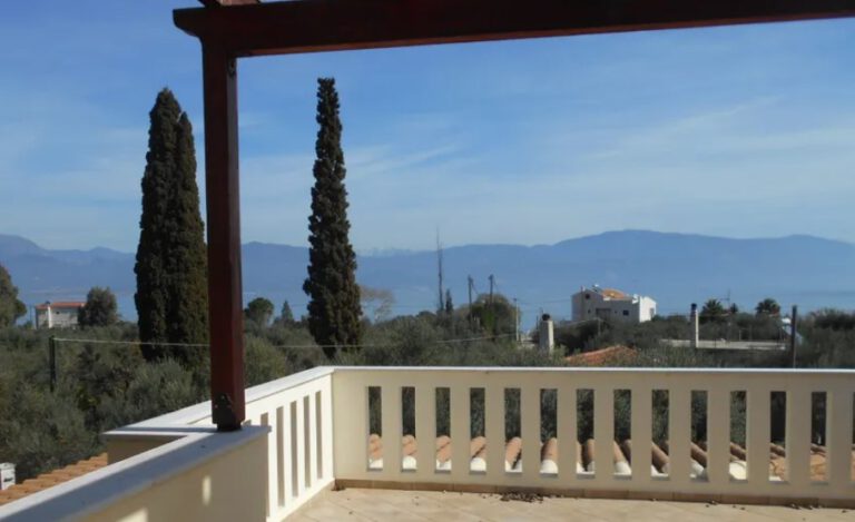 צילום-מסך-2022-08-15-162615