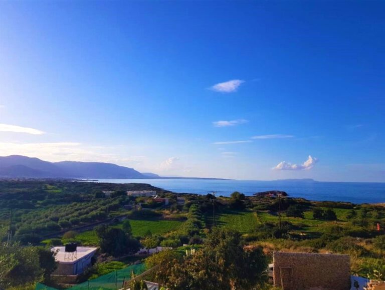 צילום-מסך-2022-08-22-115754