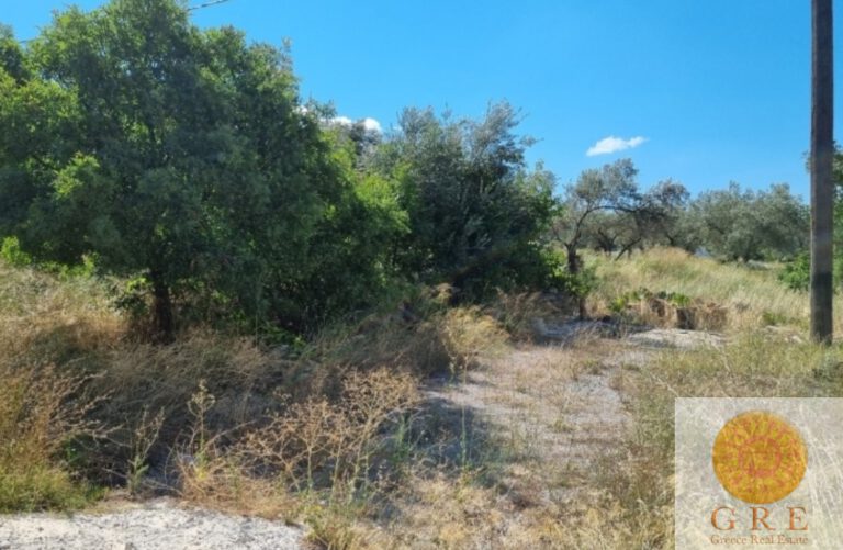 צילום-מסך-2022-09-14-104612