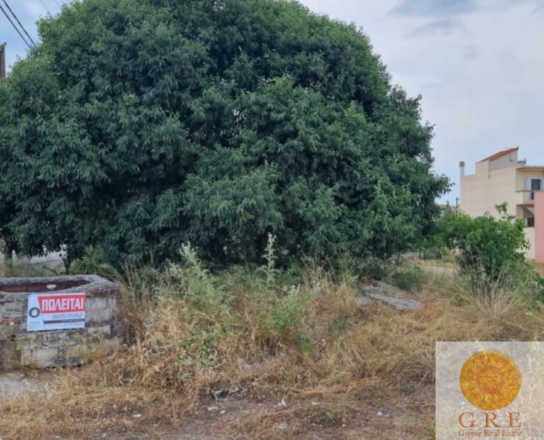 צילום-מסך-2022-09-14-105752