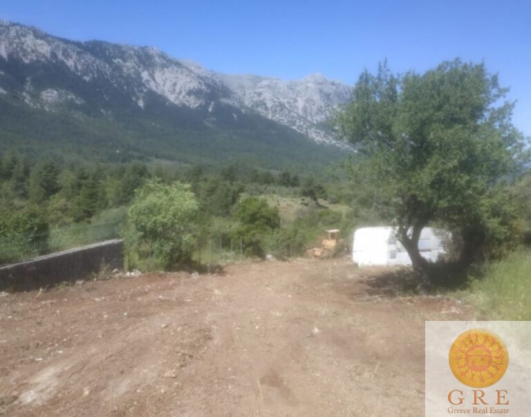 צילום-מסך-2022-09-14-125442