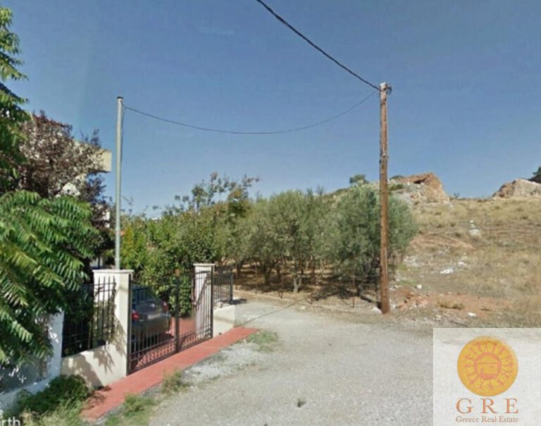 צילום-מסך-2022-09-14-150204