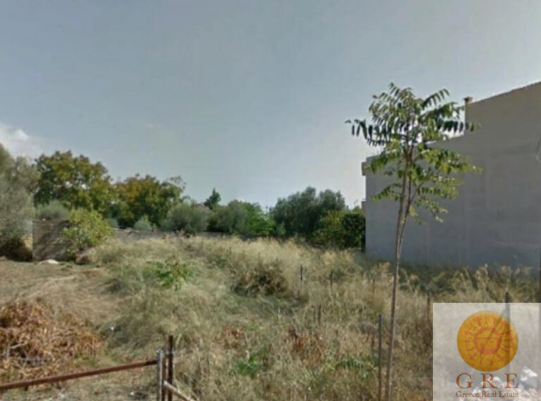 צילום-מסך-2022-09-15-121037-1