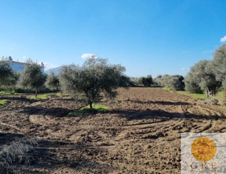 צילום-מסך-2022-09-16-101533