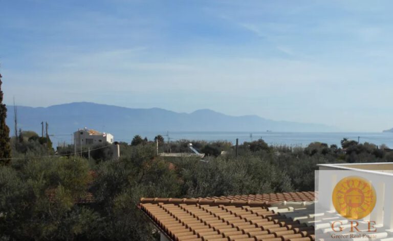 צילום-מסך-2022-09-29-135814-1