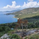 WhatsApp-Image-2021-12-29-at-12.03