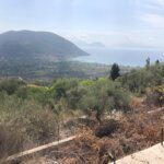 WhatsApp-Image-2022-07-20-at-12.54