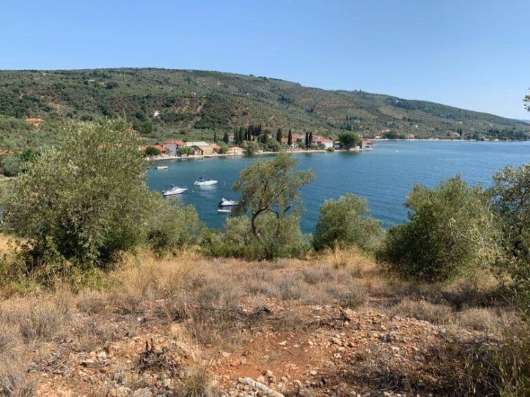 16EE5018-0F44-B337-8127-02BFC4EB33D5_kalamos-kavos-2