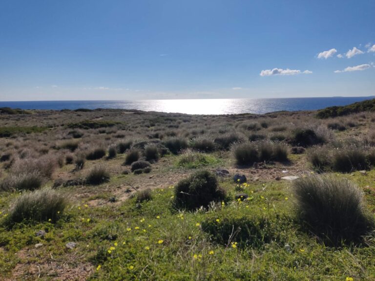 IMG_20230114_115051-scaled