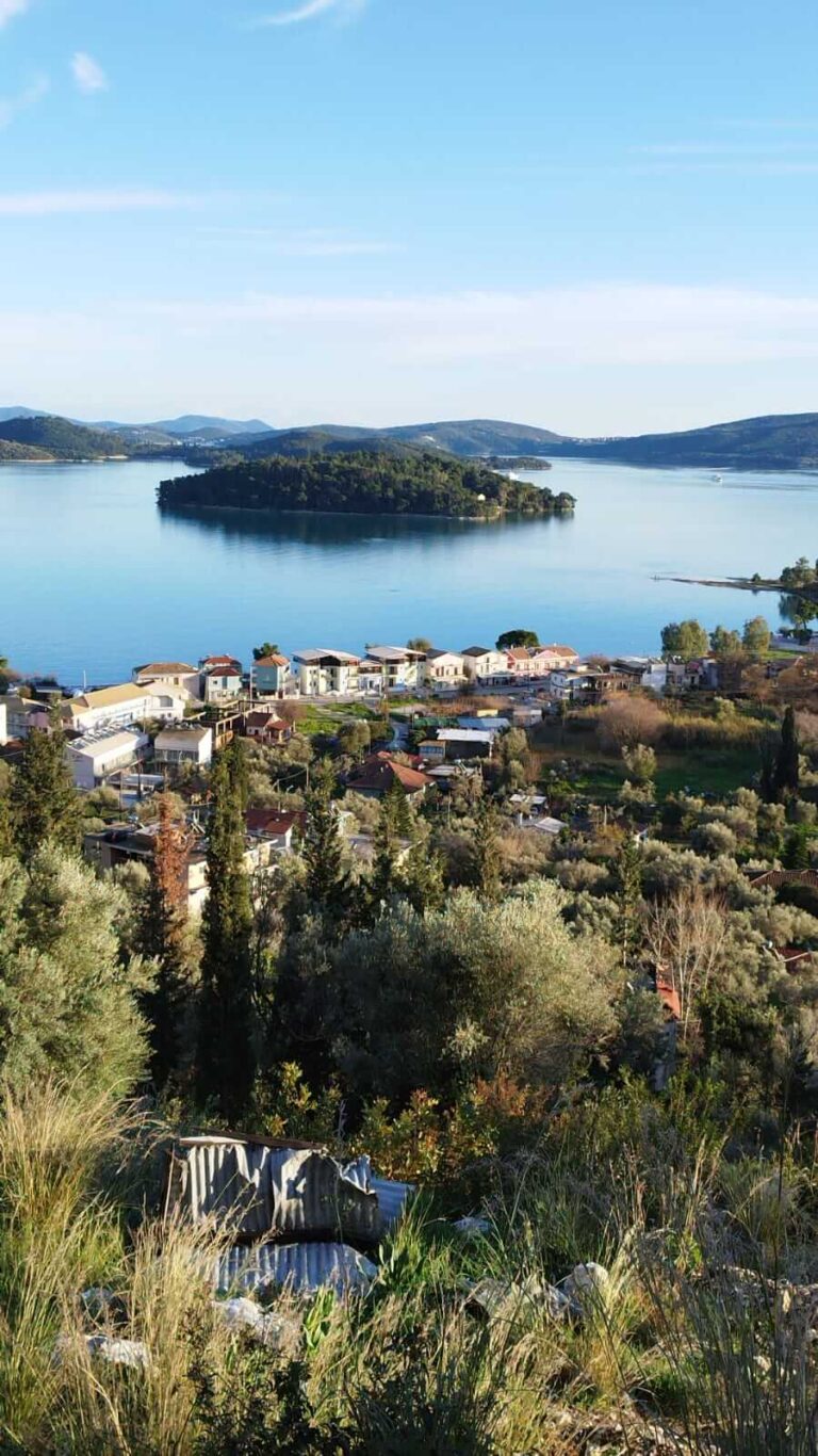 PHOTO-2023-01-24-16-54-20