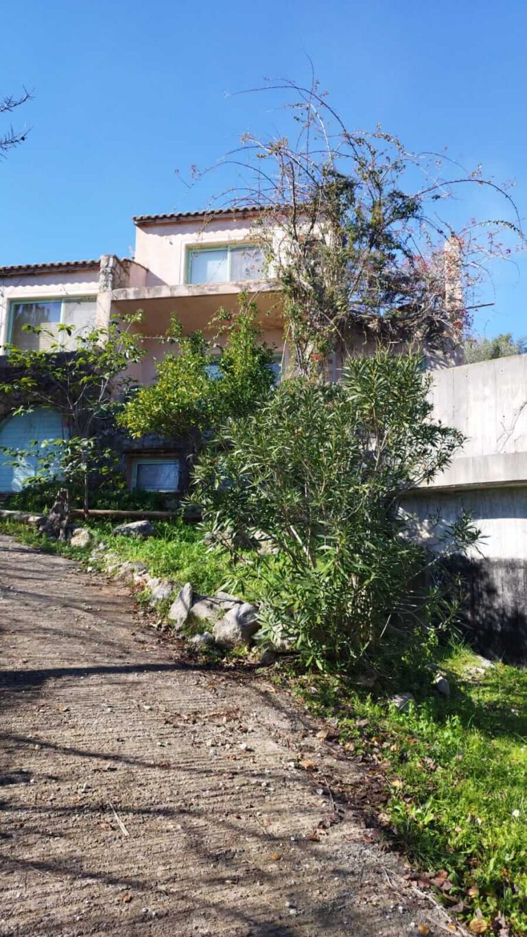 PHOTO-2023-02-01-12-10-01