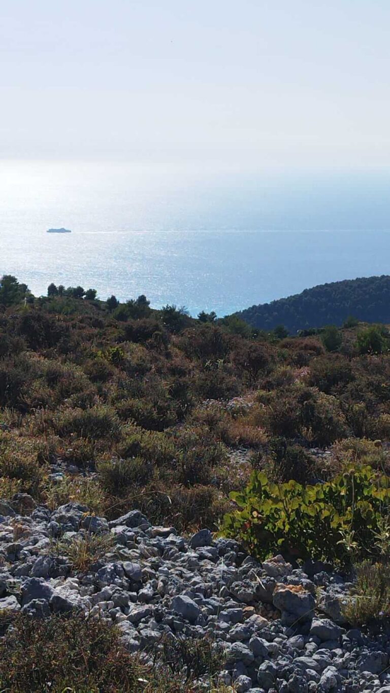 PHOTO-2023-08-14-17-37-03