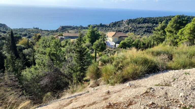 PHOTO-2023-11-24-12-03-06